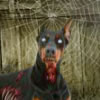 Scary Zombie House Escape 3