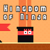 Kingdom of Ninja